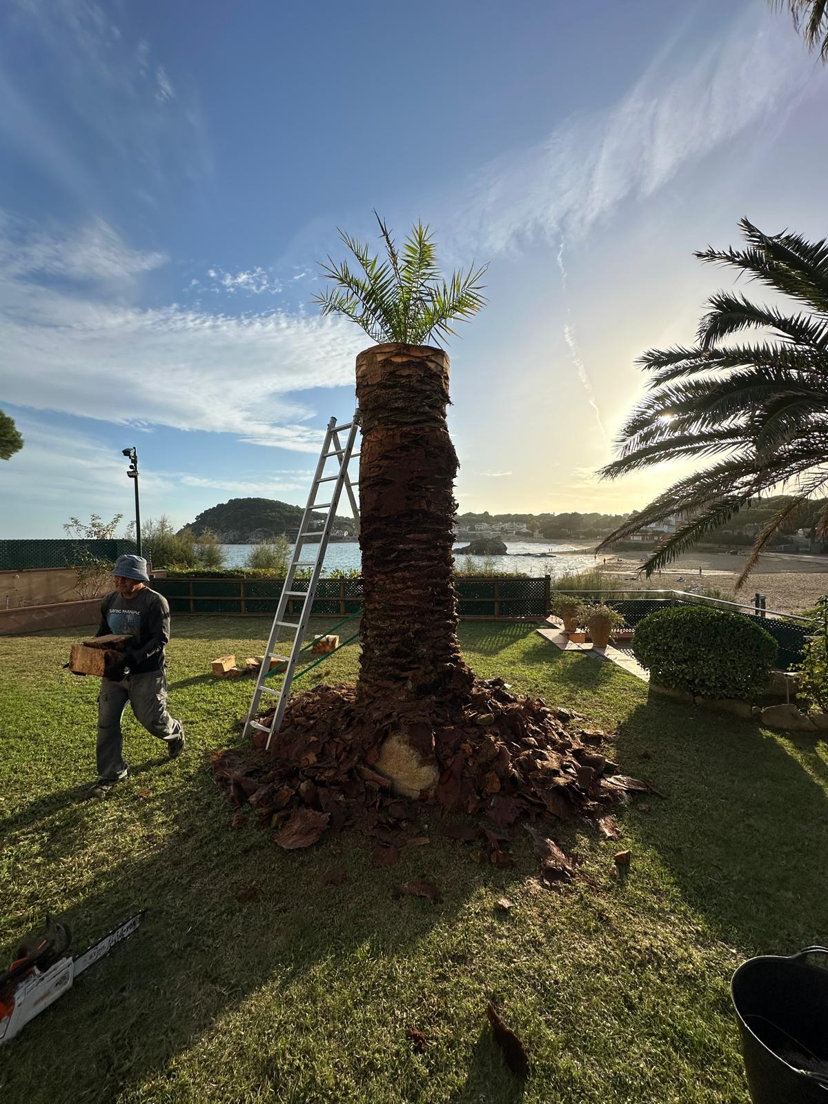 whatsapp image 2026 02 24 at 15.03.36