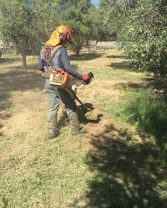 whatsapp image 2026 02 24 at 15.21.33