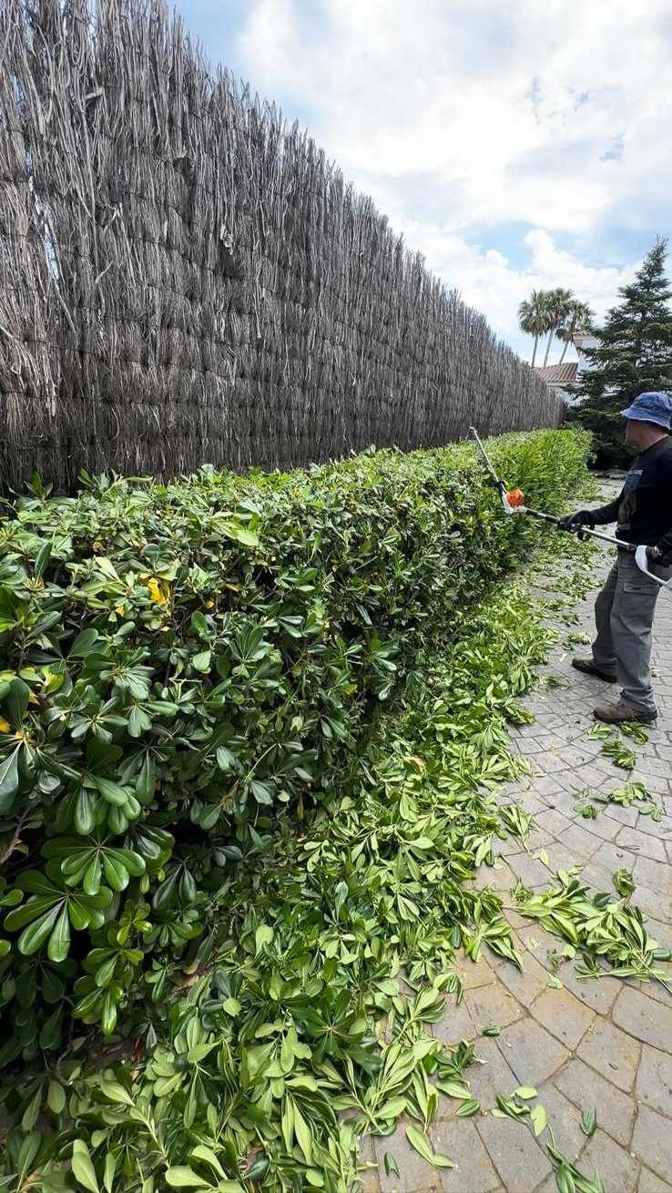 whatsapp image 2026 02 24 at 14.46.20 4