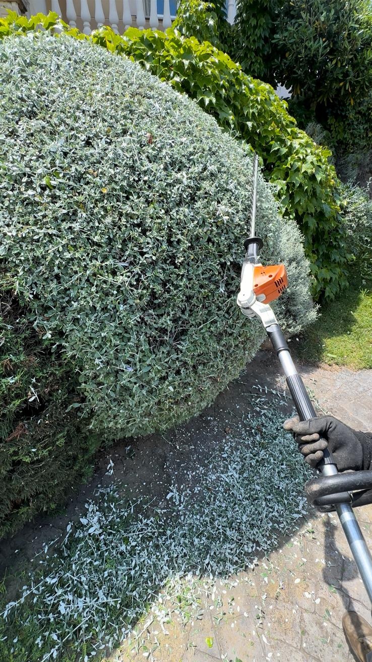 whatsapp image 2026 02 24 at 14.46.20 9